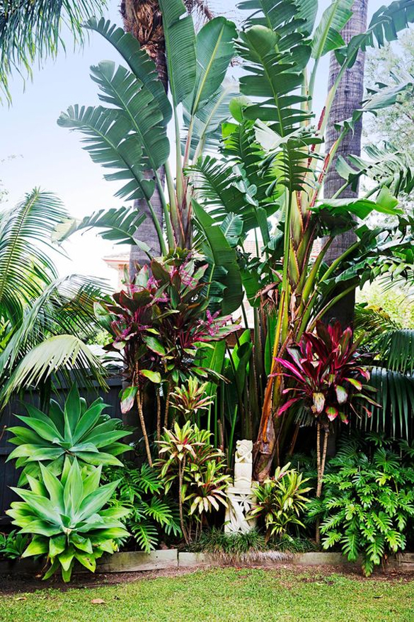 Vườn nhiệt đới Tropical Garden