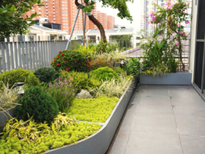 Một góc Starlake: Nơi LandDecor kể câu chuyện ấm áp bằng ngôn ngữ của gỗ